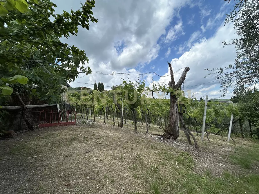 Immagine 5 di Rustico / casale in vendita  in Via Postuman a Mezzane Di Sotto