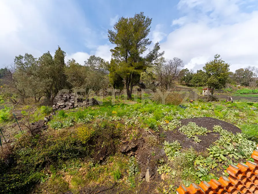 Immagine 11 di Terreno edificabile in vendita  in Via Nocille 55 a Mascali
