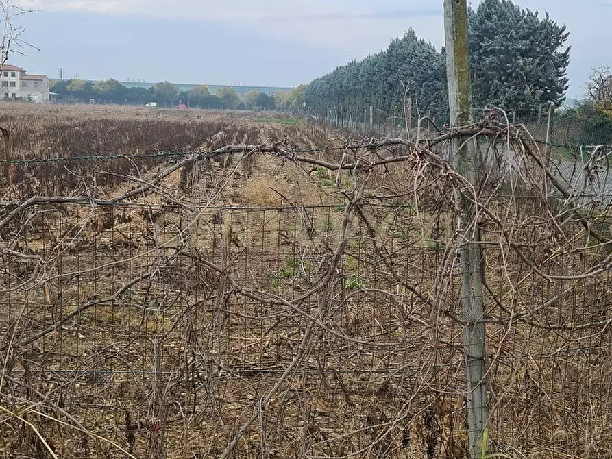 Immagine 7 di Terreno agricolo in vendita  in Via Siberie a Sommacampagna
