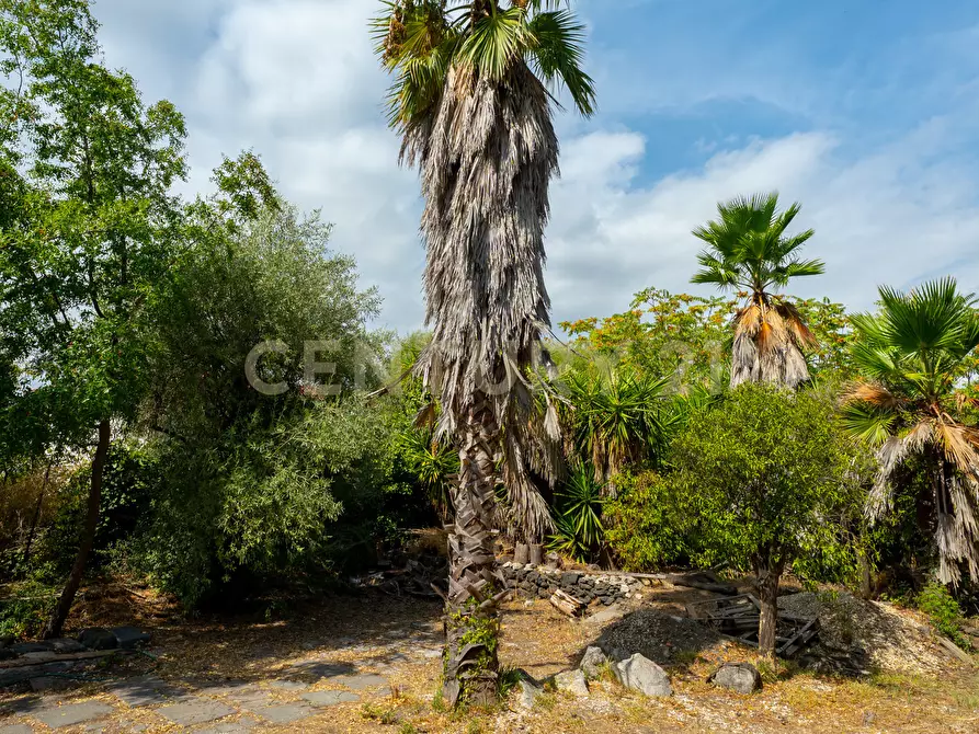 Immagine 24 di Villa in vendita  in Via Pulei 25 a Mascalucia