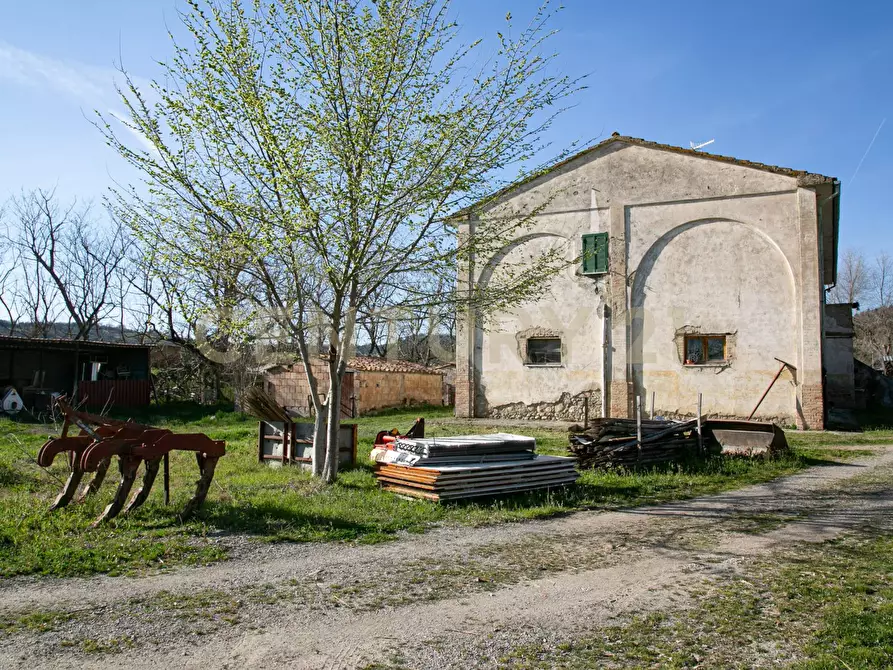 Immagine 4 di Rustico / casale in vendita  a Civitella Paganico