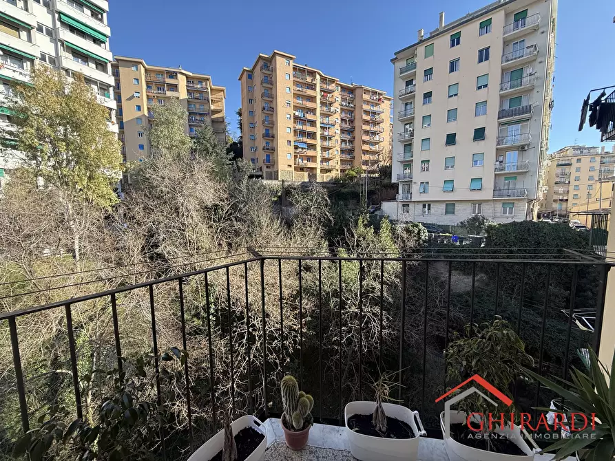 Immagine 26 di Trilocale in affitto  in VIA SANT'ELIA 41 a Genova