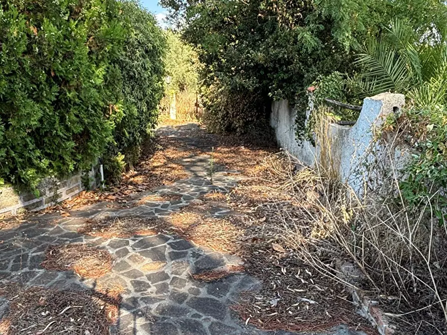 Immagine 15 di Villa in vendita  in via litoranea 528 a Sabaudia