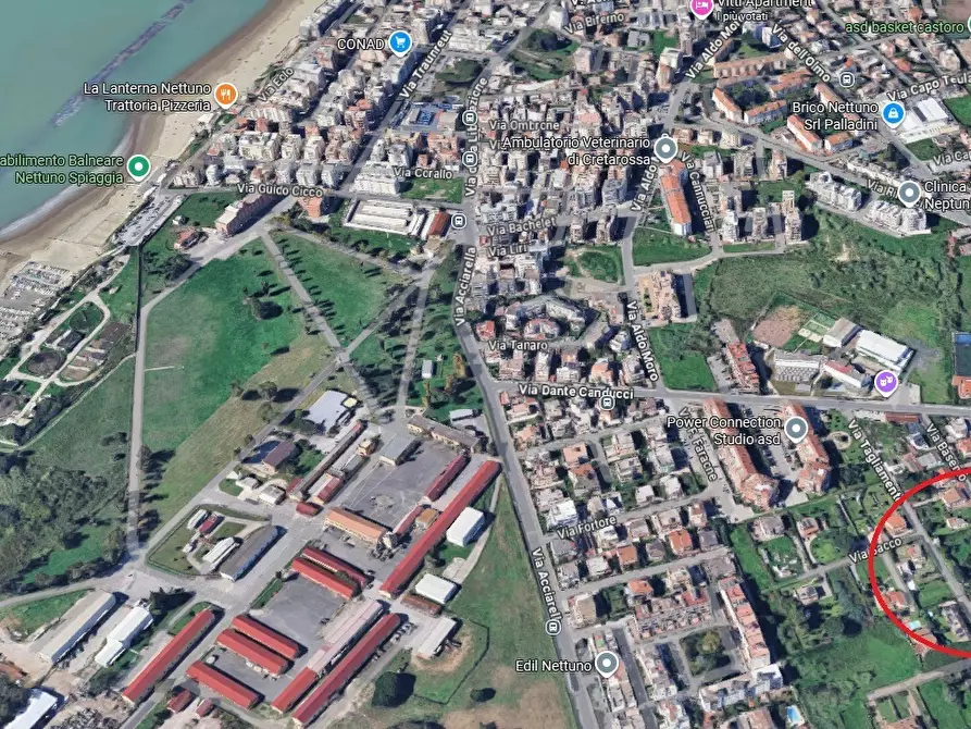 negozio in vendita a Nettuno