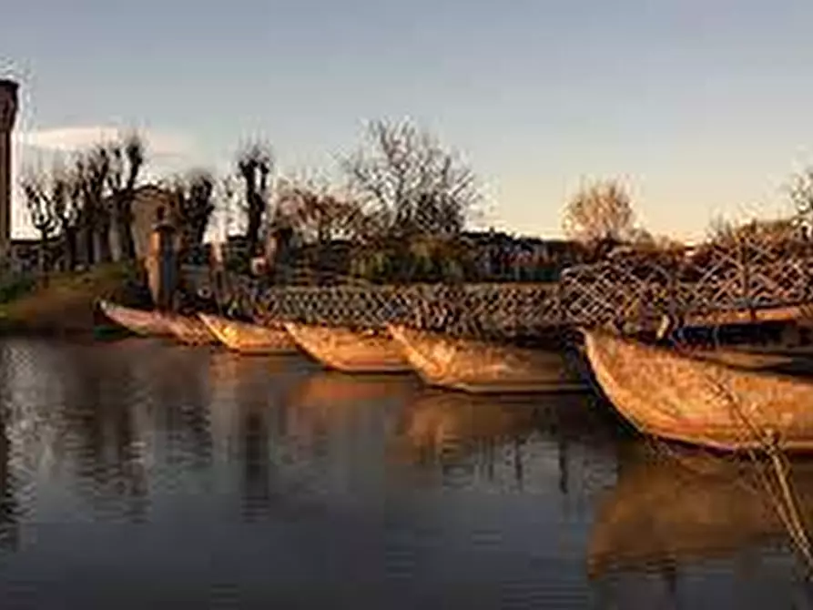 Immagine 22 di Rustico / casale in vendita  in pomara a Commessaggio