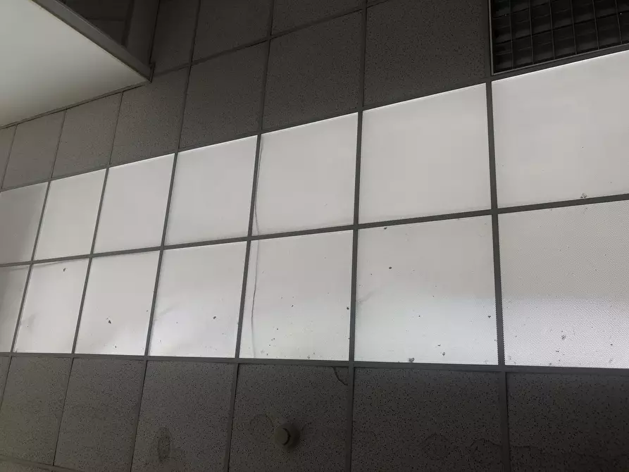 Immagine 27 di Attività artigianale in affitto  a Collecchio