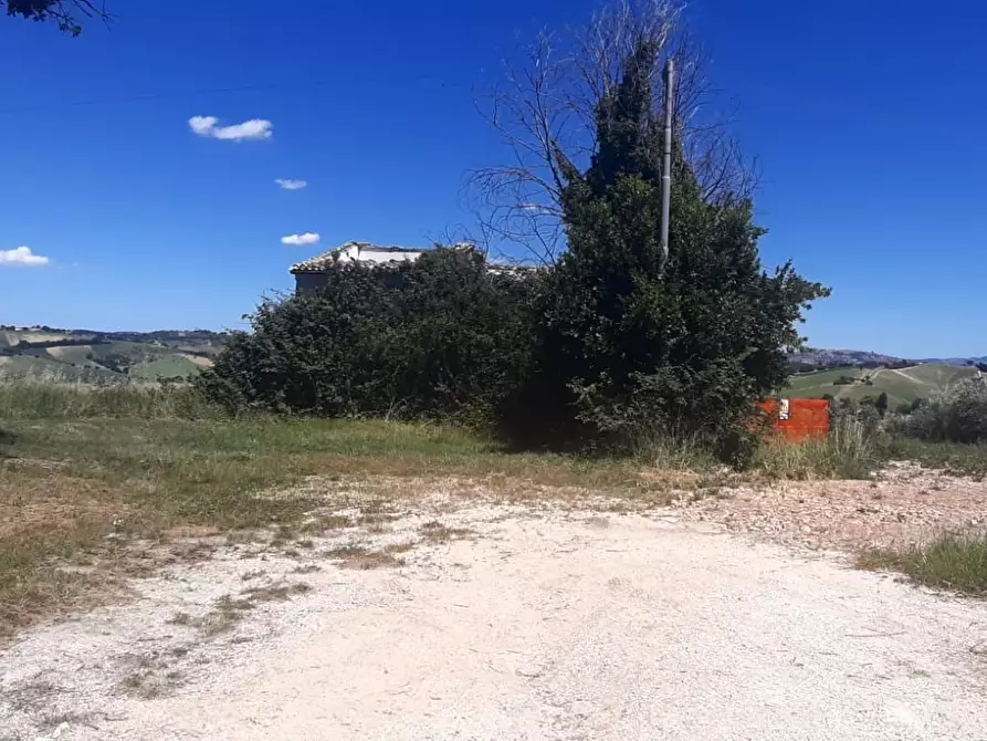 Immagine 5 di Rustico / casale in vendita  in Filottrano a Filottrano