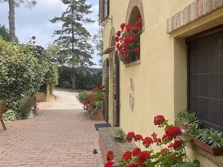 Immagine 9 di Villa in vendita  in VIA CHIARAVALLESE a Osimo