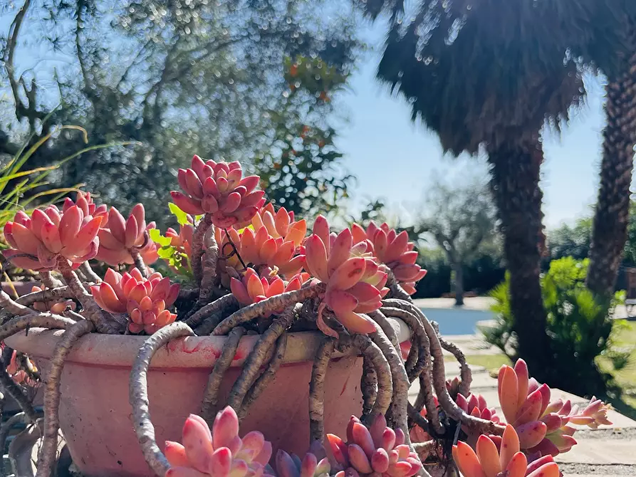 Immagine 11 di Rustico / casale in vendita  in Via Paterno a Ancona