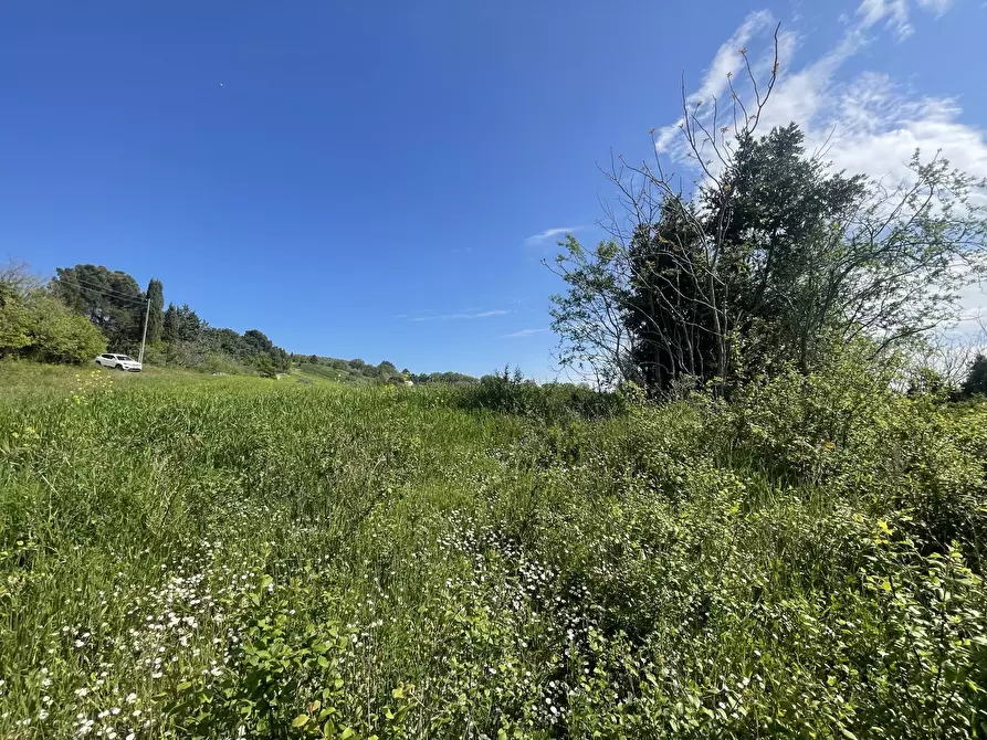Immagine 4 di Rustico / casale in vendita  in Frazione Poggio a Ancona