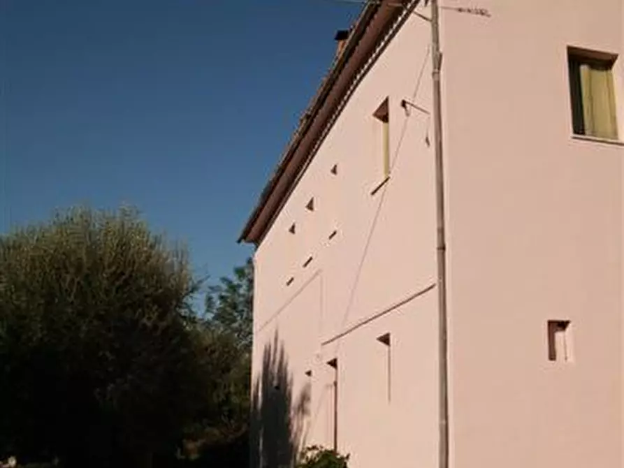 Immagine 26 di Rustico / casale in vendita  in CASTEL LEONE DI SUASA a Ostra Vetere