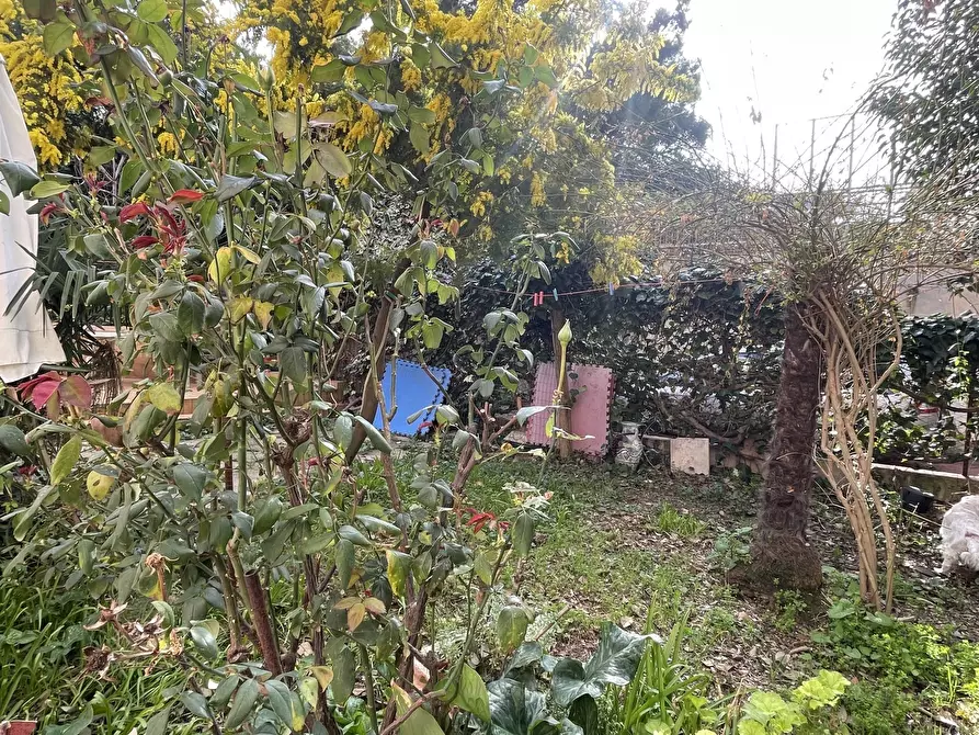 Immagine 2 di Appartamento in vendita  in Via damiano chiesa a Ancona