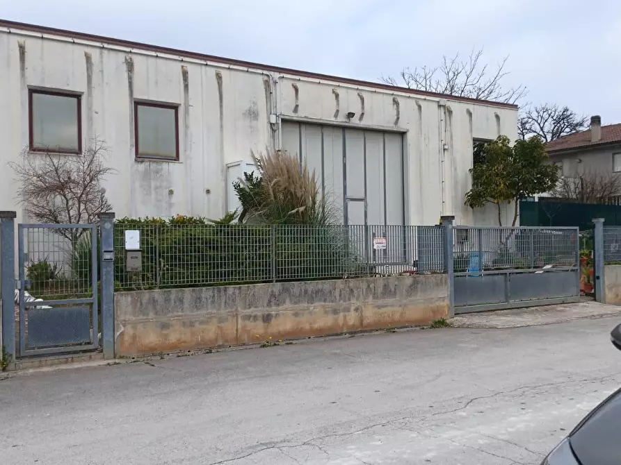 Immagine 2 di Attività artigianale in vendita  a Sirolo