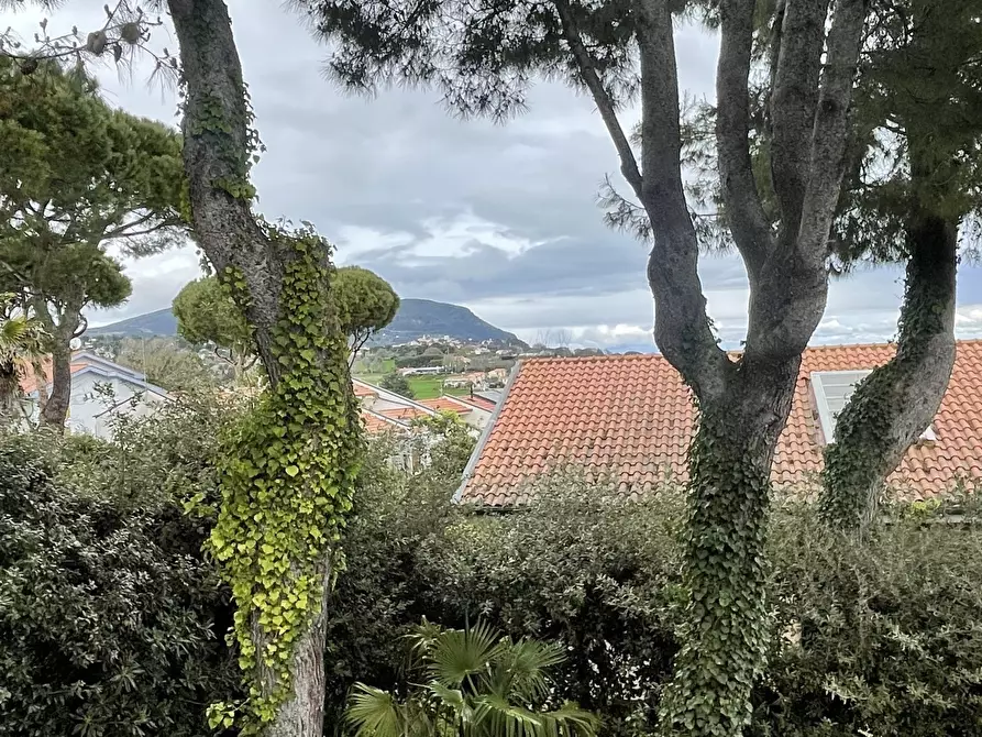 Immagine 6 di Villa in vendita  in Via Ischia a Numana
