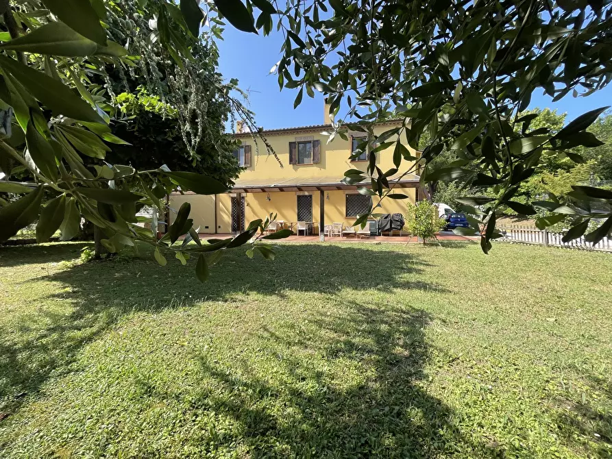 Immagine 14 di Rustico / casale in vendita  in offagna a Offagna