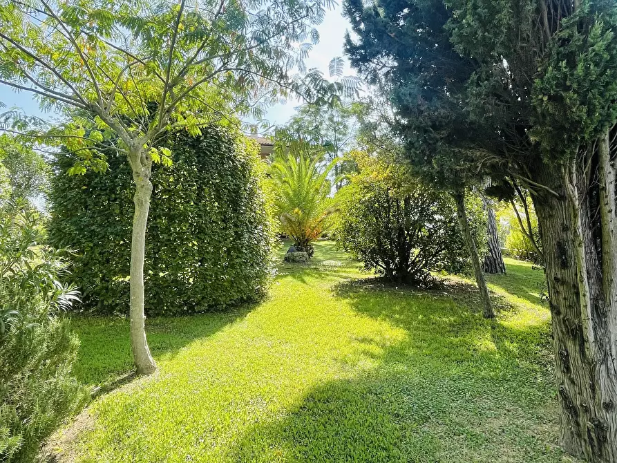 Immagine 20 di Villa in vendita  in Via Cagiata a Osimo