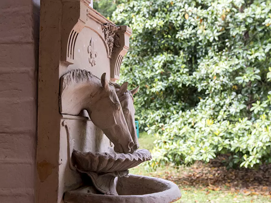 Immagine 48 di Rustico / casale in vendita  in OFFAGNA a Offagna