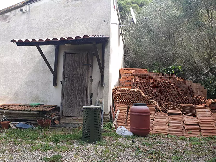 Immagine 6 di Rustico / casale in vendita  a Livorno