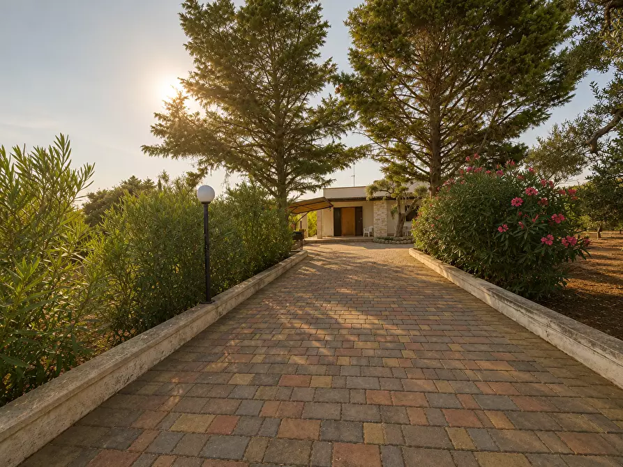 Immagine 7 di Villa in vendita  a San Vito Dei Normanni