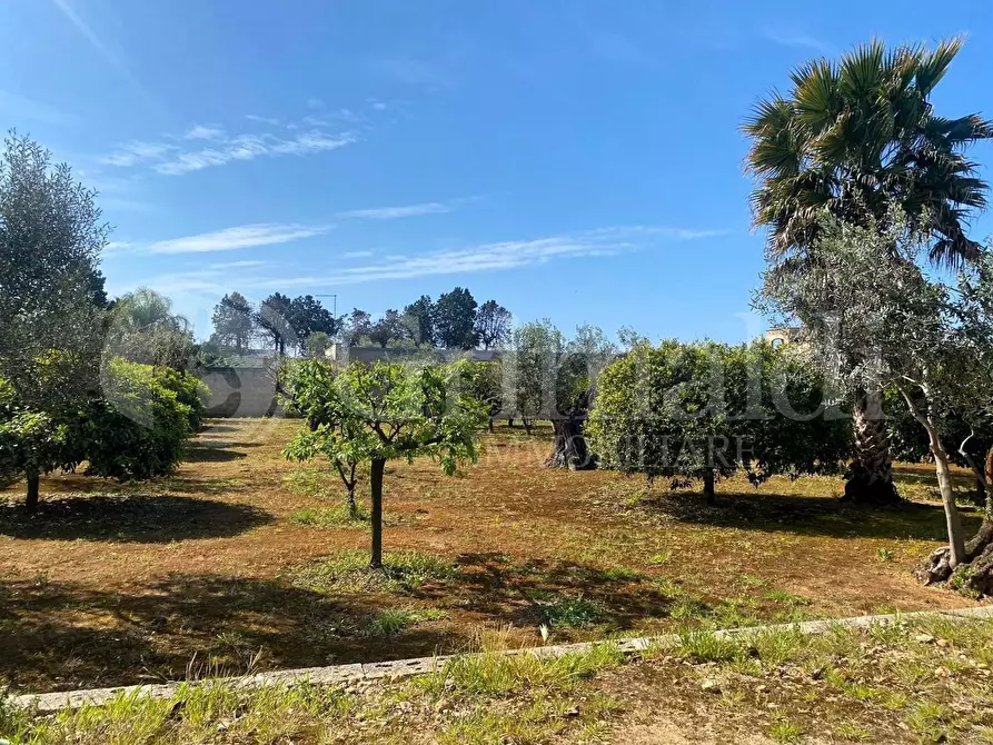 Immagine 24 di Villa in vendita  in strada provinciale 361 a Gallipoli