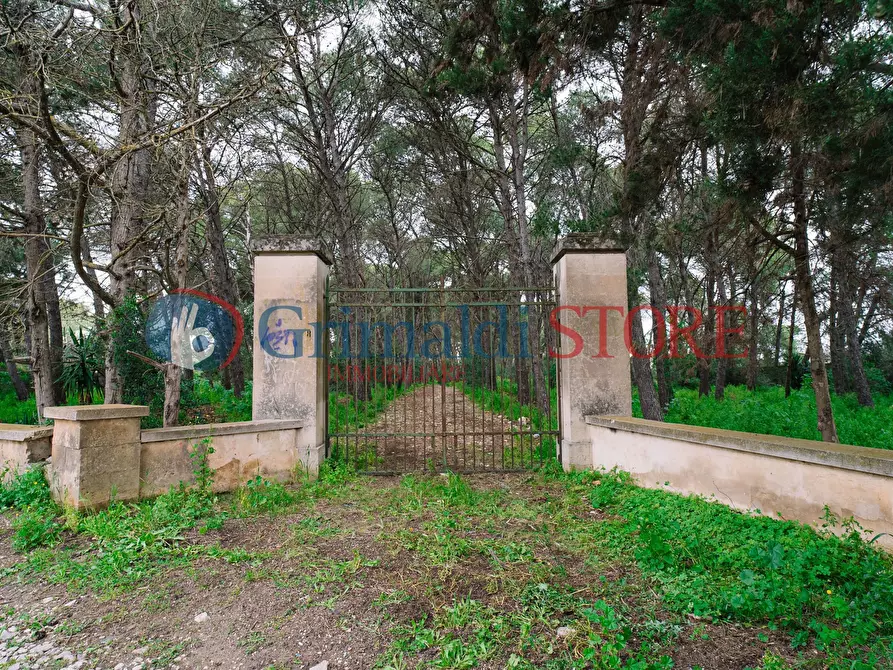 Immagine 3 di Rustico / casale in vendita  in Via Messapia 8 a Monteroni Di Lecce