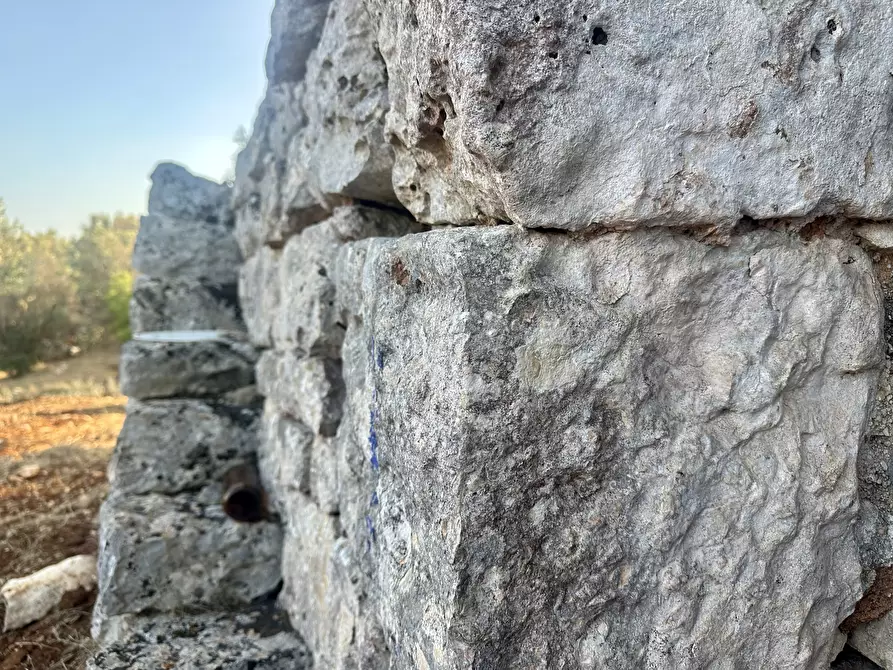 Immagine 14 di Terreno edificabile in vendita  a Ceglie Messapico