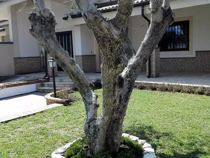 Immagine 20 di Casa bifamiliare in vendita  in Via Aurora 22 a Anzio