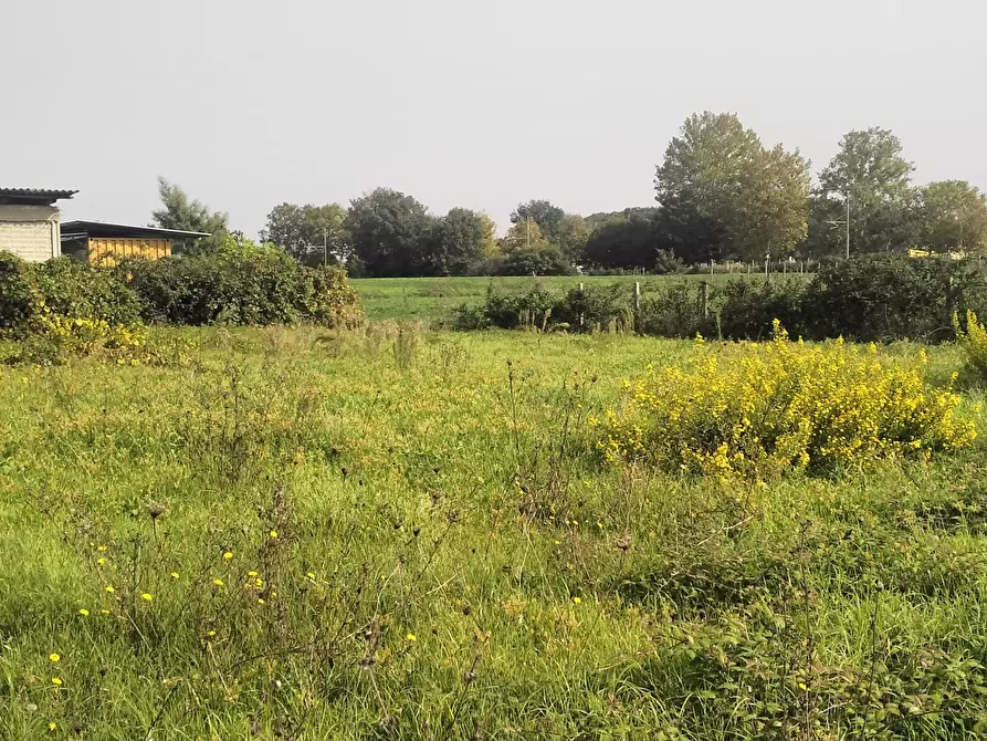 Immagine 6 di Terreno agricolo in vendita  in Via Lago di Sirino a Nettuno