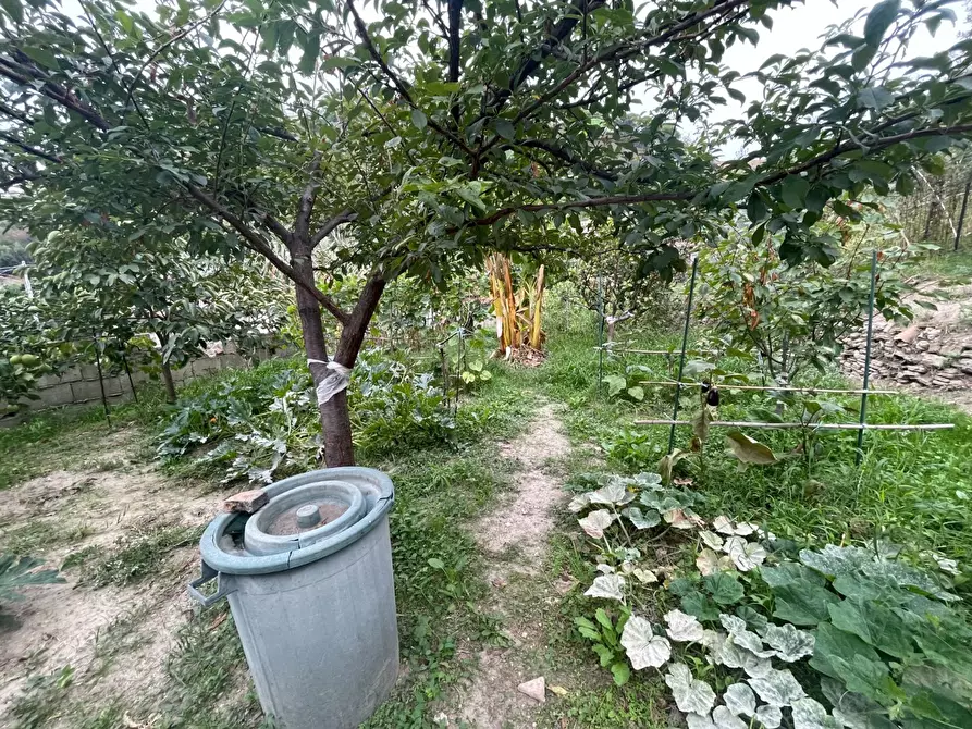 Immagine 36 di Casa indipendente in vendita  in ctd Scoppo 62 a Messina