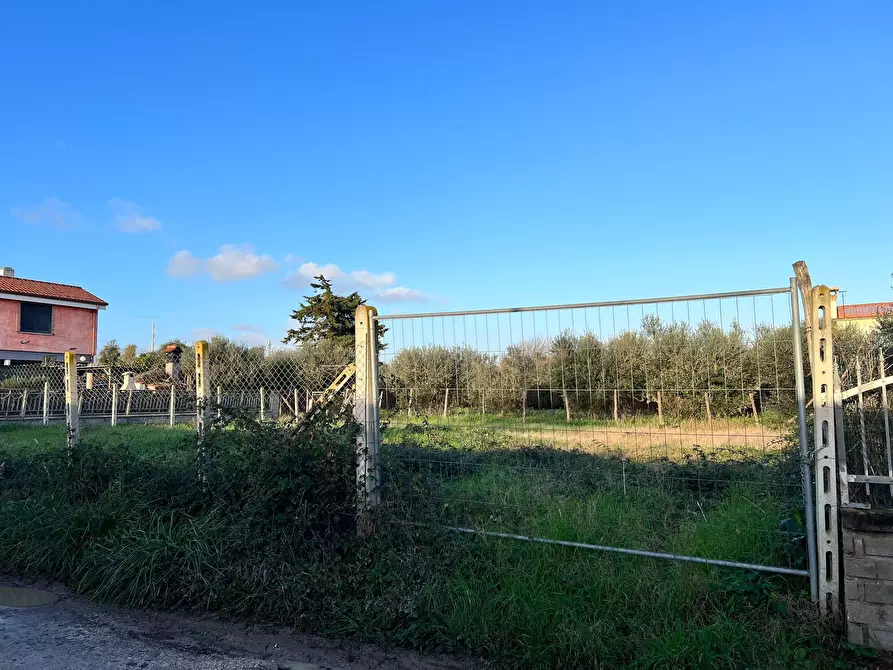Immagine 5 di Terreno edificabile in vendita  in Via Cellere 1 a Nettuno