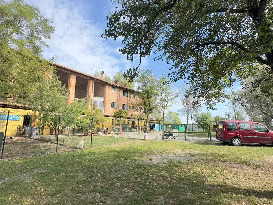 Immagine 4 di Rustico / casale in vendita  in via umberto 1 a Greggio