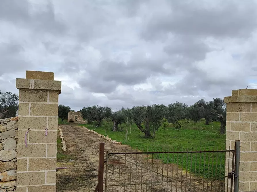 Immagine 3 di Terreno edificabile in vendita  in Contrada Curlo snc a Sannicola