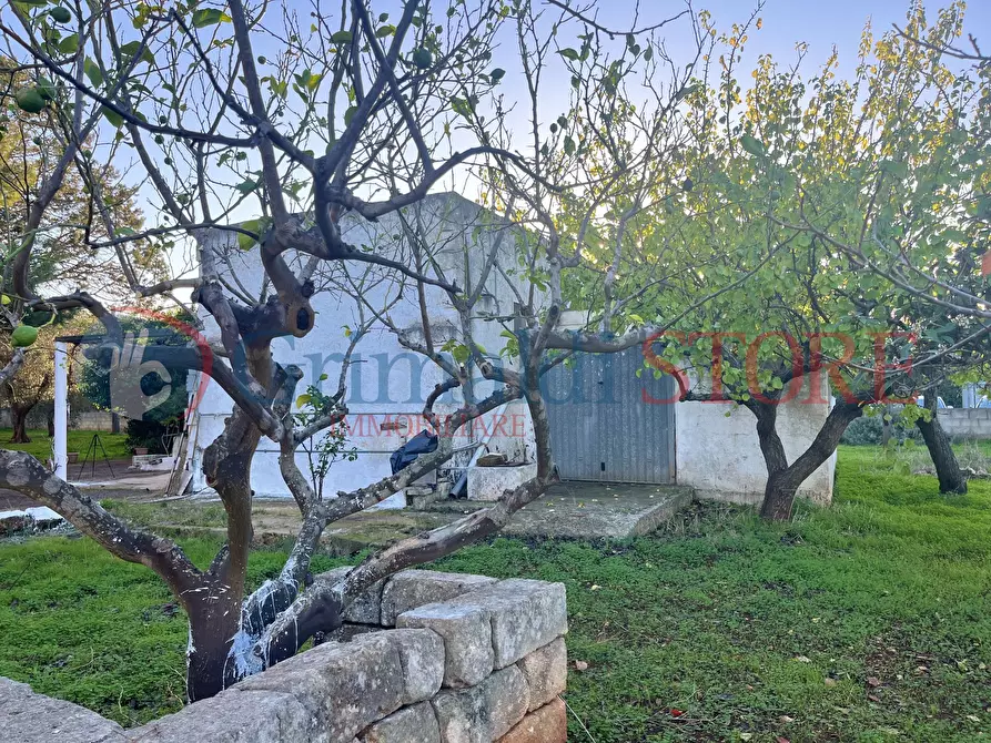 Immagine 13 di Rustico / casale in vendita  a San Vito Dei Normanni