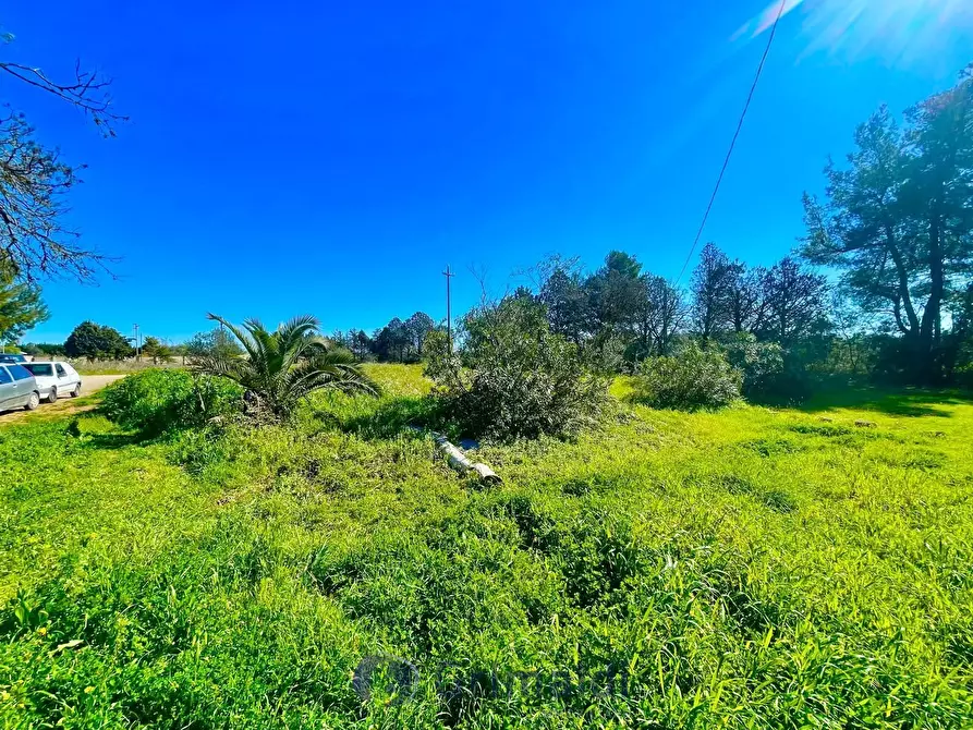 Immagine 18 di Magazzino in vendita  in Via Solano Li Belli 47 a Lequile