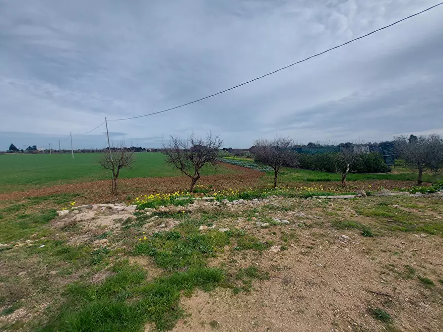 Immagine 4 di Rustico / casale in vendita  in Strada per Baccatani 26 a Brindisi