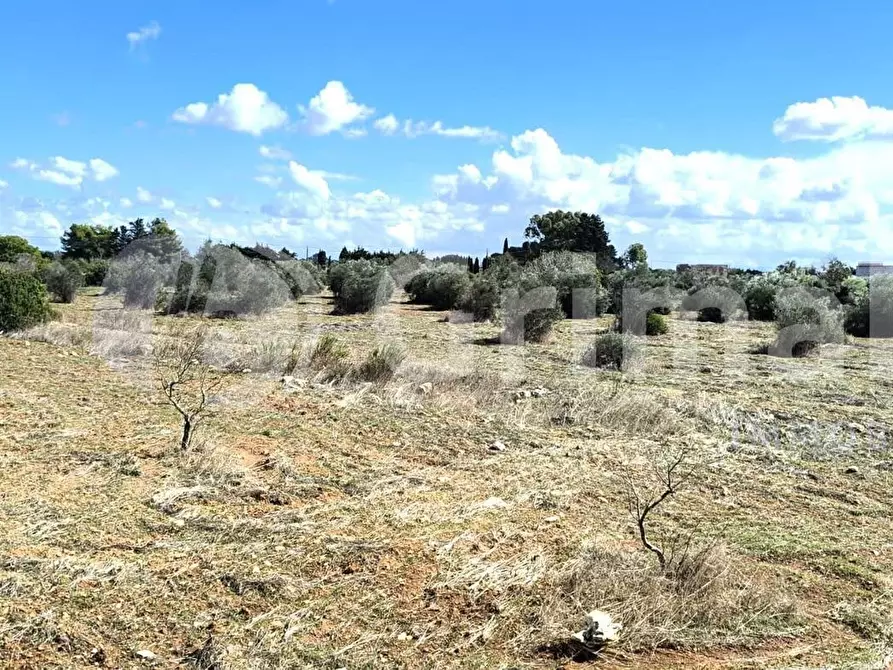 Immagine 1 di Terreno agricolo in vendita  in Strada Statale 274 a Gallipoli