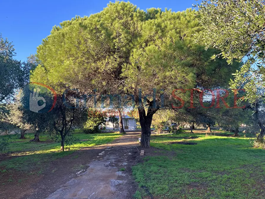 Immagine 5 di Rustico / casale in vendita  a San Vito Dei Normanni