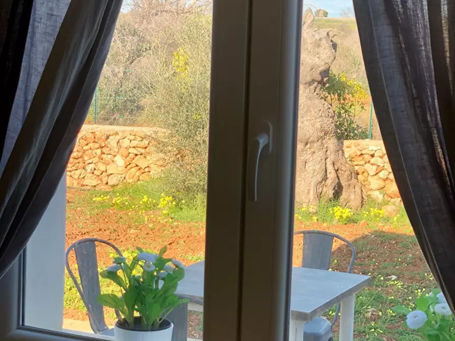 Immagine 12 di Casa indipendente in vendita  in Via Masseria Ungulìa 2 a Sannicola