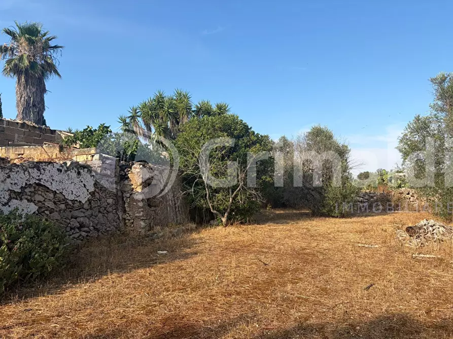 Immagine 17 di Terreno agricolo in vendita  in Contrada Coline a Alezio