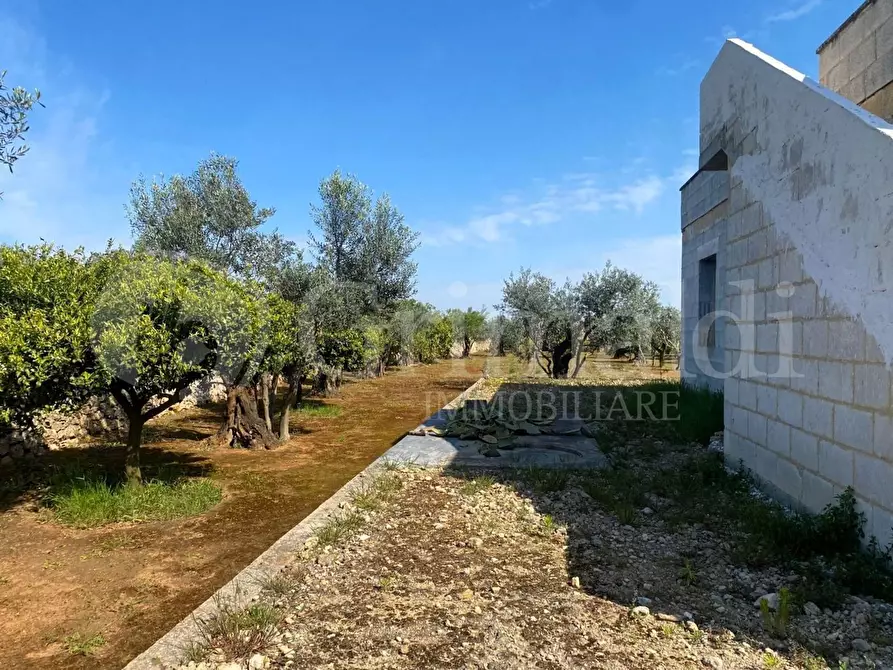 Immagine 13 di Villa in vendita  in strada provinciale 361 a Gallipoli