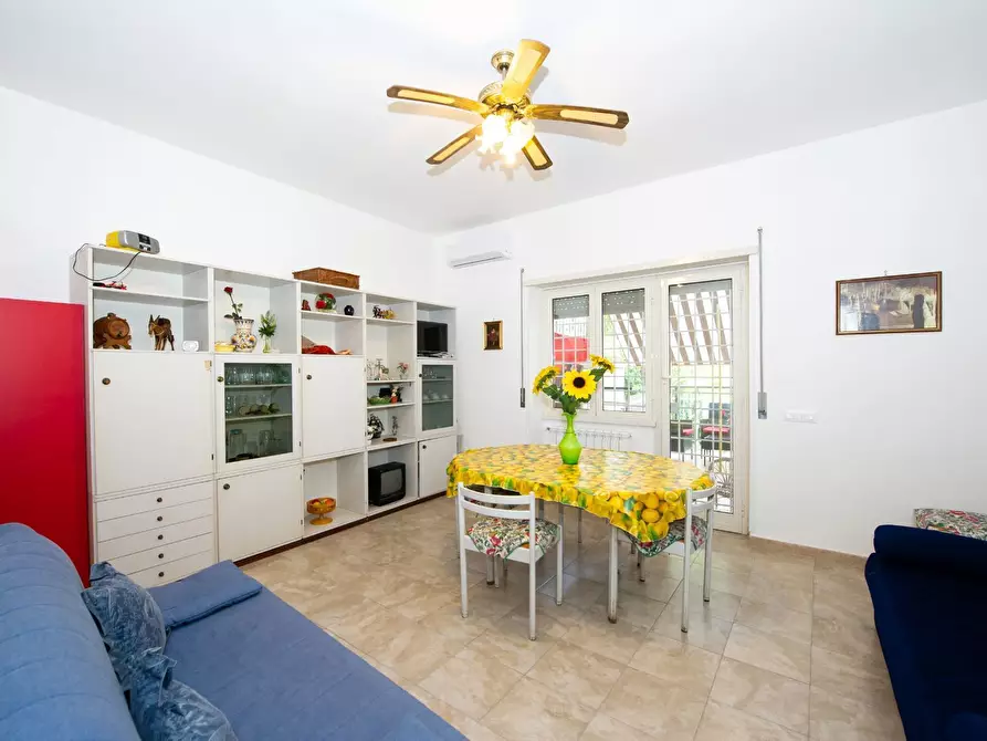 Immagine 18 di Quadrilocale in affitto  in Via Conchiglia di Mare 4 a Anzio