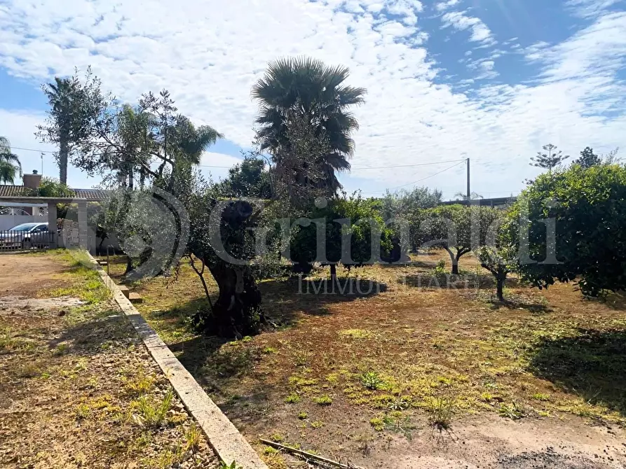 Immagine 12 di Villa in vendita  in strada provinciale 361 a Gallipoli