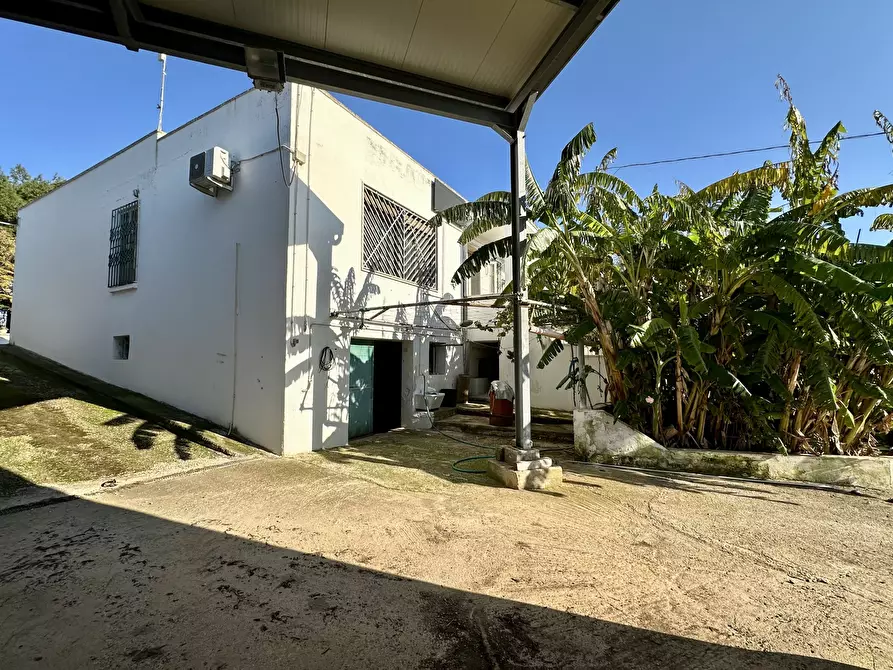 Immagine 30 di Villa in vendita  in Contrada Pezza d' Acqua Fresca 27 a San Vito Dei Normanni