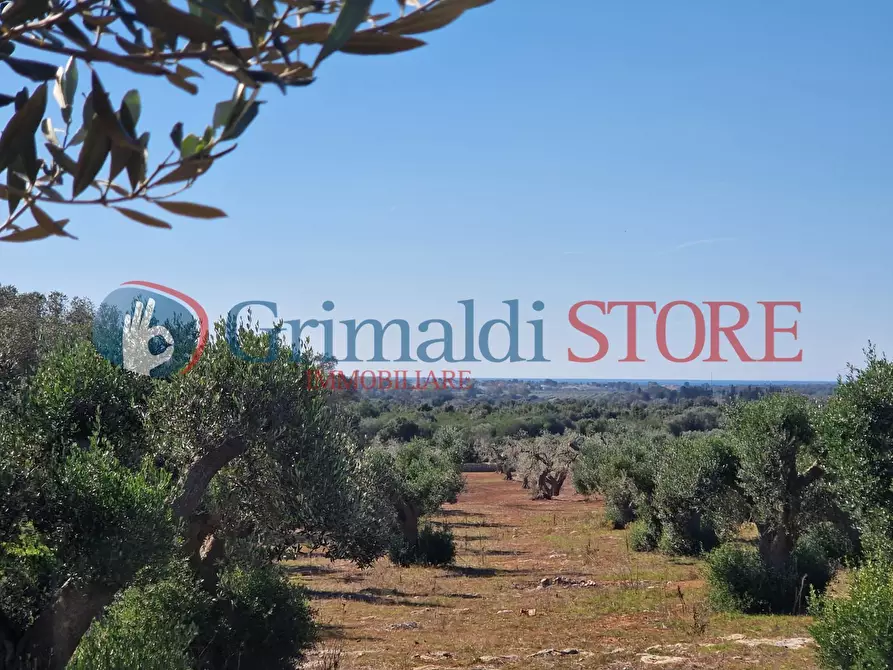 Immagine 18 di Casa indipendente in vendita  a Porto Cesareo