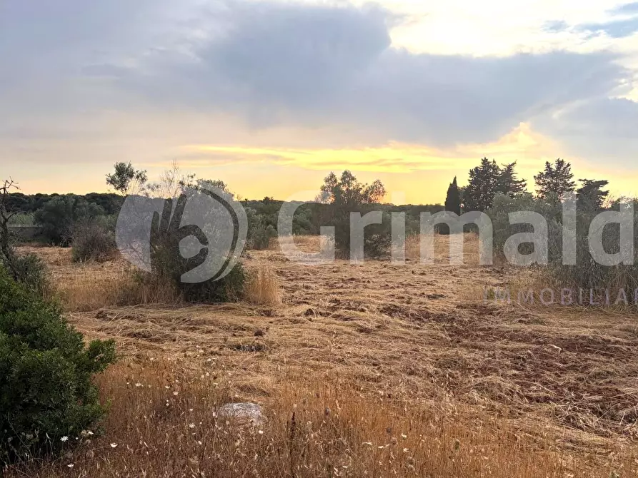 Immagine 2 di Terreno agricolo in vendita  in Strada Statale 274 a Gallipoli