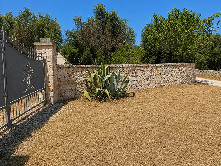 Immagine 8 di Terreno agricolo in vendita  in Contrada San Benedetto a Ostuni