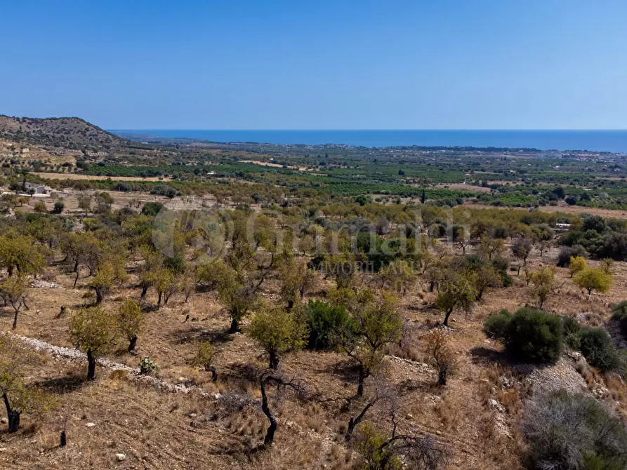 Immagine 1 di Terreno edificabile in vendita  in CONTRADA PETRARA a Avola