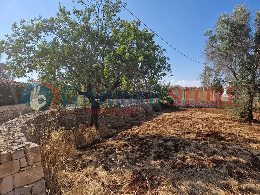 Immagine 12 di Terreno agricolo in vendita  a Latiano