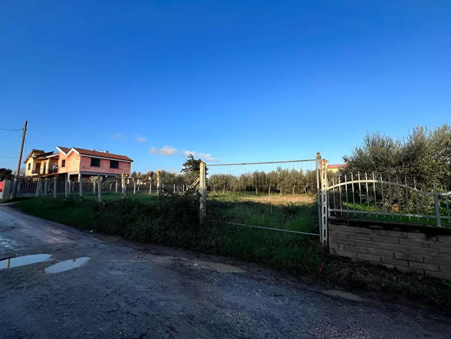 Immagine 4 di Terreno edificabile in vendita  in Via Cellere 1 a Nettuno