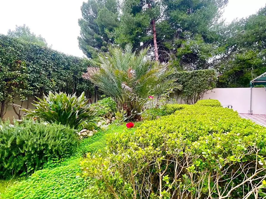 Immagine 49 di Quadrilocale in vendita  in Via Federico Zeri 3 a Lecce